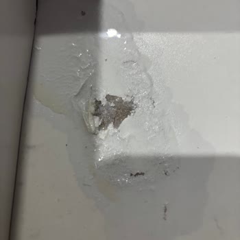 S'he Vec. Serumunun Tehlikeli İçeriği