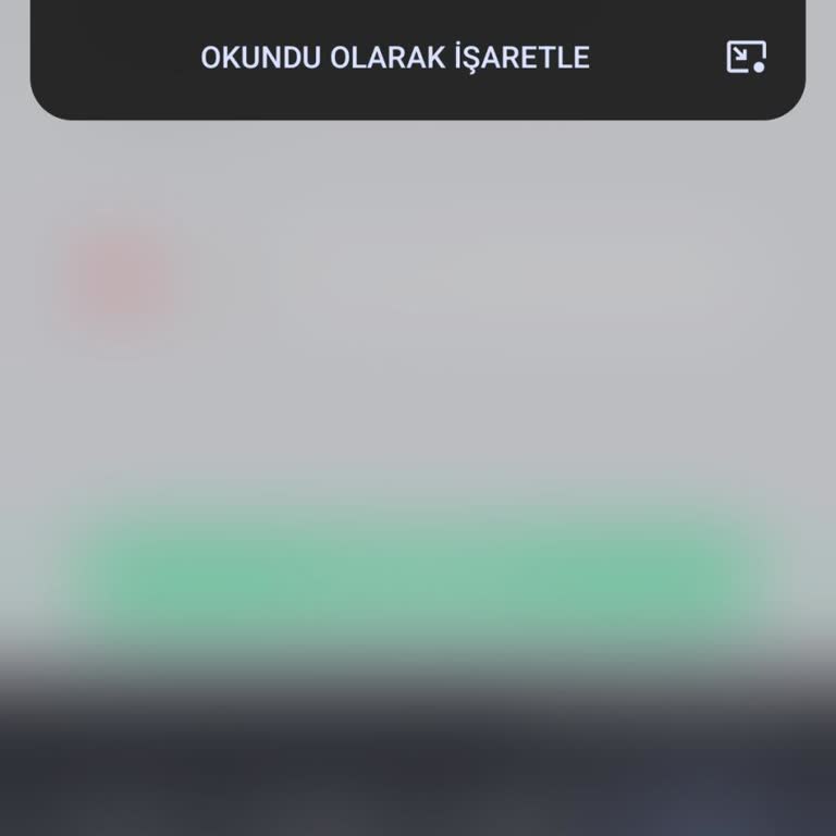 Yanlış Gönderilen Doğrulama Mesajı Ve Güvenlik Endişesi