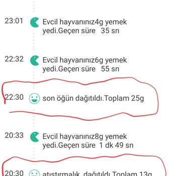 Petkit Mama Kabı Porsiyon Hatası Kedimin Beslenmesini Bozuyor