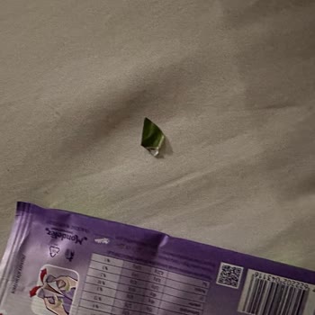 Milka Çikolata İçinden Kağıt Parçası Çıktı