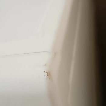 Yetkisiz Servis Mağduriyeti: Kurutma Makinesi Sorunu