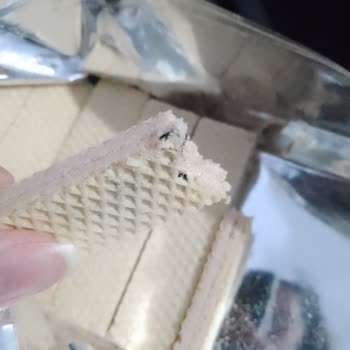 Hoşbeş Çilekli'de Yabancı Madde Sorunu