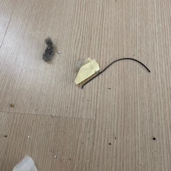 Yeedi Servisten Kirli Dönen Robot Süpürge Ve Çözülmeyen Sorunlar