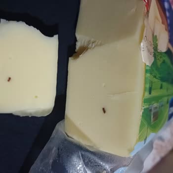 BİM'den Aldığım Kaşarda Şok Edici Yabancı Maddeler