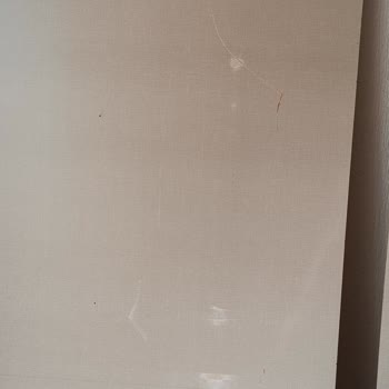 Taşınma Sürecinde Yaşanan Sorunlar ve Öneriler