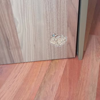 Taşınma Sürecinde Yaşanan Sorunlar ve Öneriler