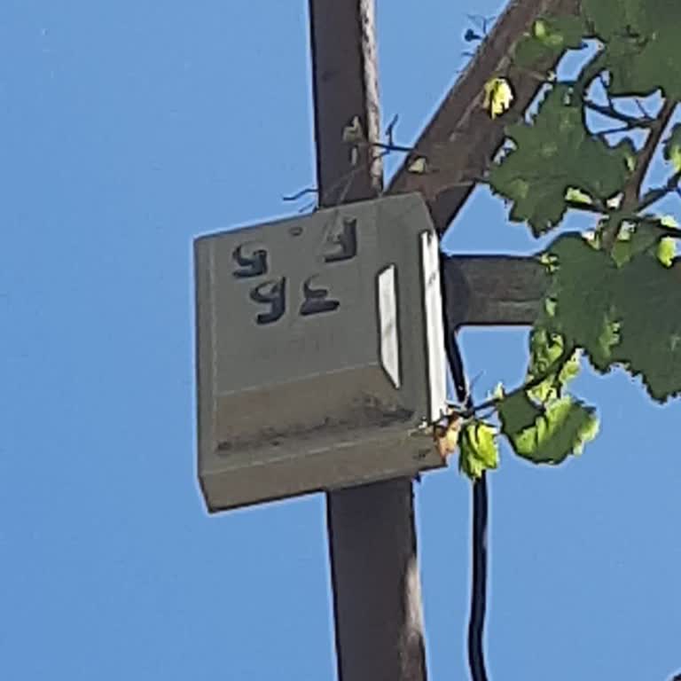 Altyapı Sorunu: Gelişmiş Bölgede İnternetsiz Kalmak
