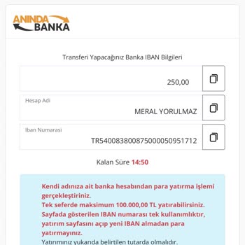 Anında Banka İşlemlerinde Sorun Yaşıyorum