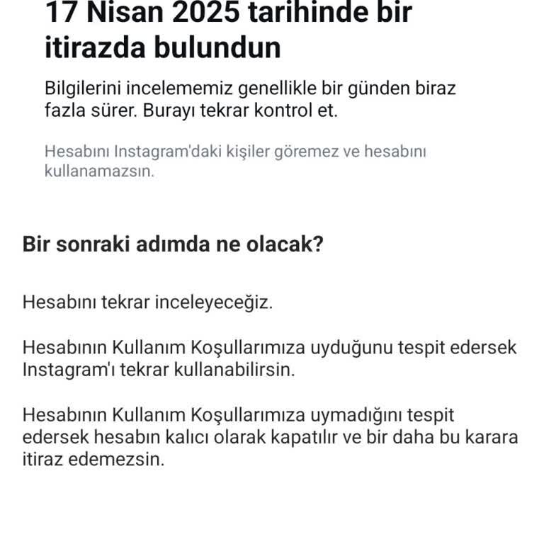 Instagram Hesap Askıya Alındı: Masum Bir Merakın Beklenmedik Sonucu