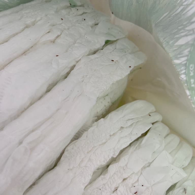 Böceklenmiş Bebek Bezi Şoku