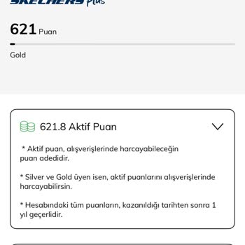 Skechers Puan Düşüşü Ve Müşteri Güveni Sorunu
