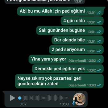 Yanlış Cinsiyet Ve Yaşta Köpek Sahiplenme Sorunu