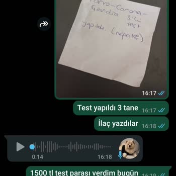 Yanlış Cinsiyet Ve Yaşta Köpek Sahiplenme Sorunu