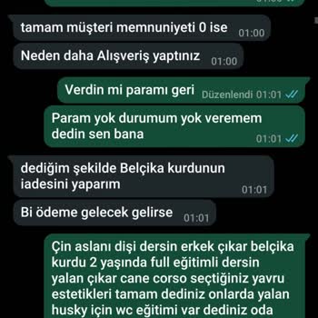 Yanlış Cinsiyet Ve Yaşta Köpek Sahiplenme Sorunu