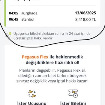 Pegasus Uygulamasında Bilet Alımında Yaşanan Sorunlar