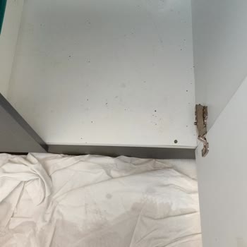 Temizlik Şirketinin Verdiği Boş Sözler Ve Kirli Gerçekler