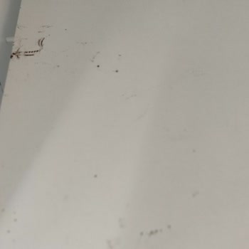 Temizlik Şirketinin Verdiği Boş Sözler Ve Kirli Gerçekler