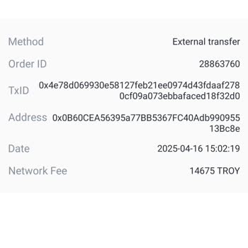 Troy Coin Transferinde Mağduriyet
