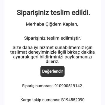 Dyson V12: Hayal Kırıklığı Ve Sorunlar