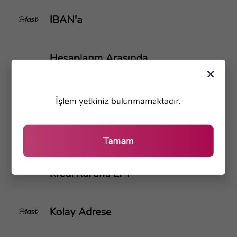 Alternatif Bank İnternet Bankacılığı Yetki Sorunu