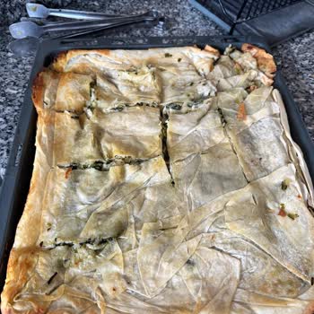 Siemens Fırında Pişirme Sorunu: Altı Pişmeyen Börek Ve Tavuk