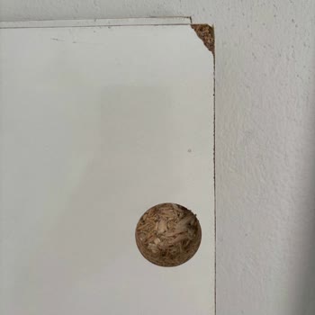 Hasarlı Gardırop Ve Yetersiz Müşteri Hizmeti
