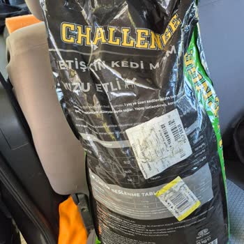 A101'den Alınan Kedi Maması Sokak Hayvanları Tarafından Reddediliyor