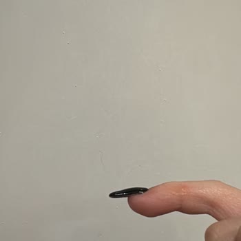 Protez Tırnak Ve Kirpik Hizmetinde Memnuniyetsizlik