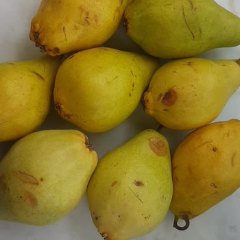 Küflü Ürünler Ve İade Sorunu