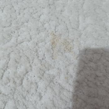 Demiröz Halı Yıkama İstanbul Lekeli Gelen Halılar