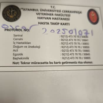 Yanlış Tedavi Ve İlgisizlik Nedeniyle Kaybedilen Can