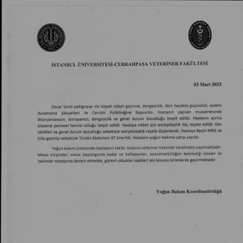 Yanlış Tedavi Ve İlgisizlik Nedeniyle Kaybedilen Can