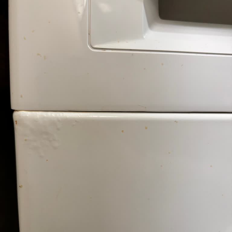 Bosch Çamaşır Makinesi Sorunu Ve Müşteri Hizmetleri Deneyimi