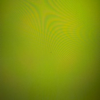 Ölü Piksel Garantili Monitörde İade Sorunu