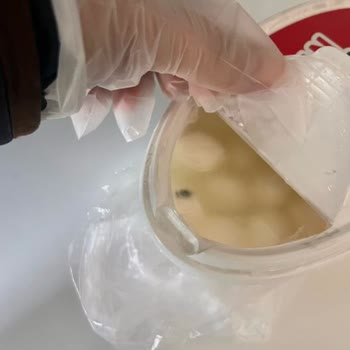 Küflü Peynir: Bahçıvan Markasına Güven Sarsıldı