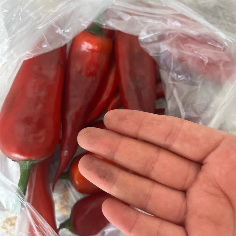 Migros Sanal Market'ten Gelen Çürük Sebzeler