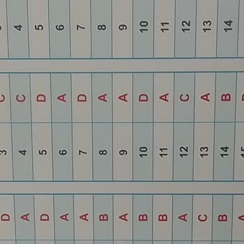 Yanlış Cevap Anahtarıyla Kardeşimin Moralini Bozuyor