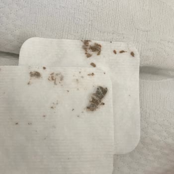 Bebek Ürünlerinde Güvenlik Sorunu