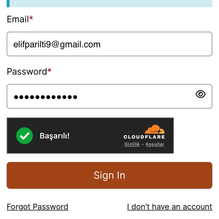 VFS Global'de Hesap Kilitlenmesi Nedeniyle Randevu Alamıyorum