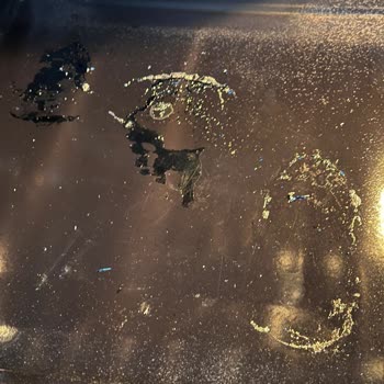 Vestel Ankastre Fırında Boya Kabarması Ve Yetersiz Servis