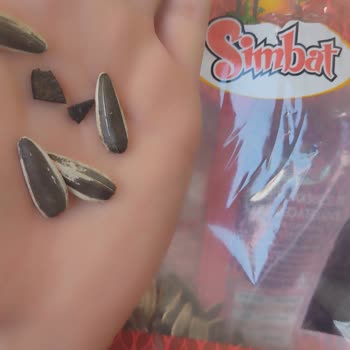 Çekirdek Paketinden Çıkan Plastik Tehlikesi