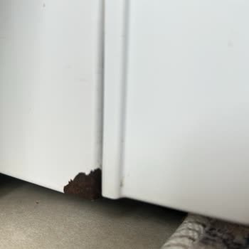 Vestel Bulaşık Makinesi Sorunları Ve Hayal Kırıklığı