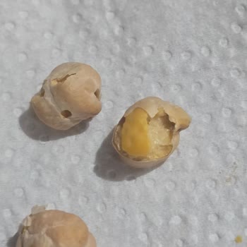 Market Ürünlerinde Kurtlu Nohut Ve İlgisiz Müşteri Hizmetleri