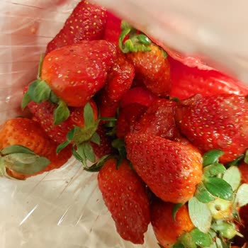 Migros Hemen Siparişimde Ezilmiş ve Çürük Çilekler