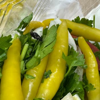 Hijyen Sorunları: Yemeğimden Kıl Ve Sinek Çıktı