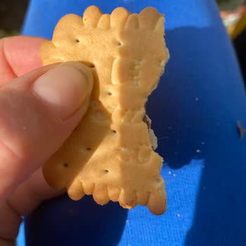 Bisküvi İçinden Kıl Çıkması