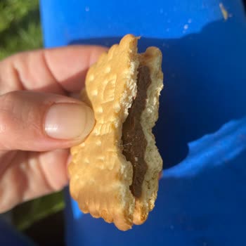 Bisküvi İçinden Kıl Çıkması