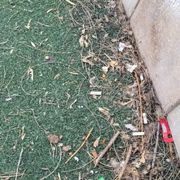 Ankara'nın Parkları Bakımsız Ve Pis