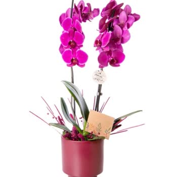 Yanlış Çiçek Teslimatı Ve Müşteri Hizmetleri Sorunu