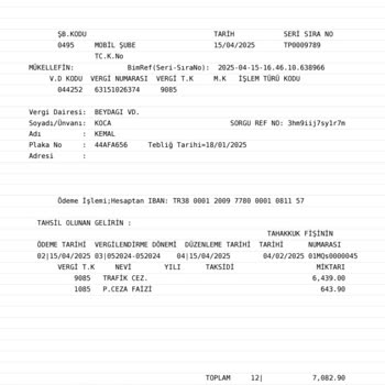 Trafik Cezası Ödeme Sistemindeki Hatalar Mağduriyet Yaratıyor